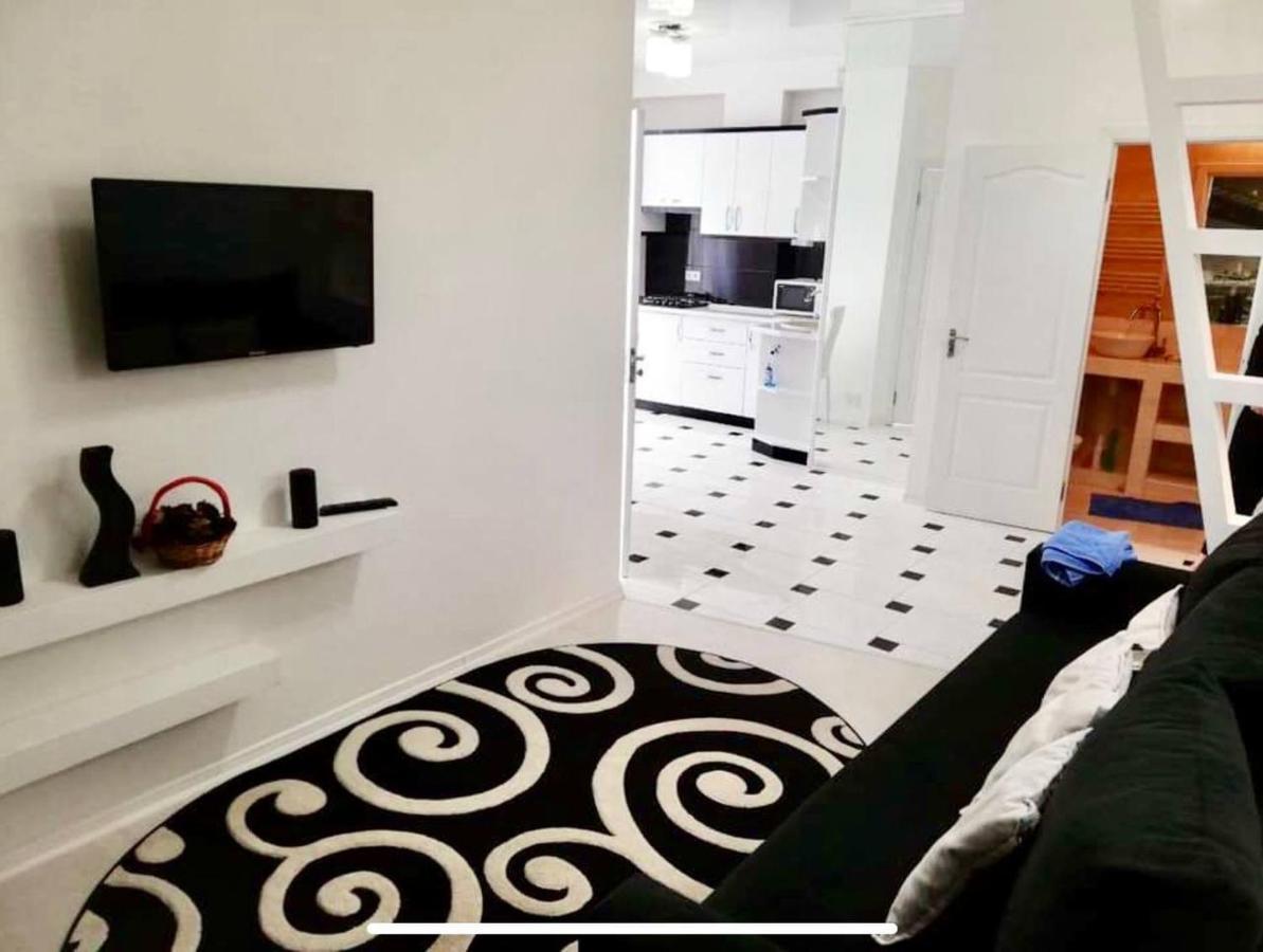 Bright Central Apartment تشيسيناو المظهر الخارجي الصورة